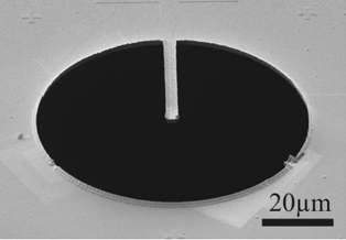 Phase Plate